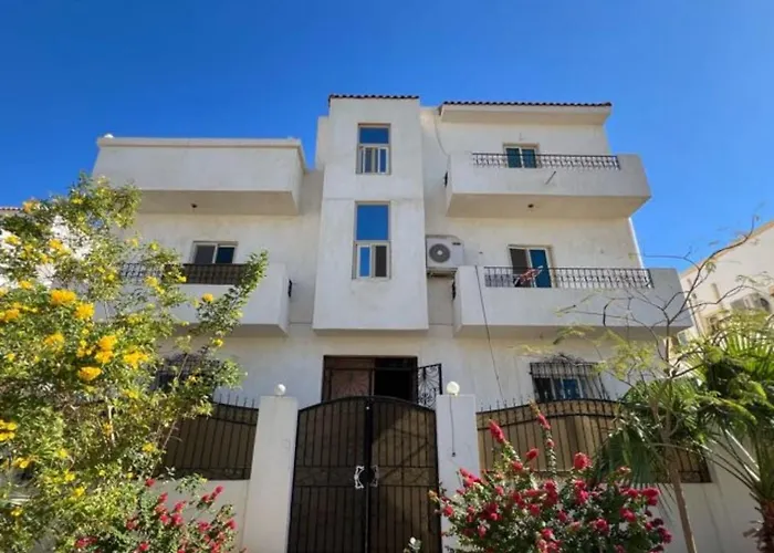 Apartment Gem In Sheikh *